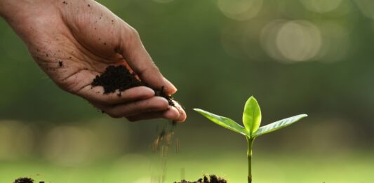 Insumos esenciales para profesionales del sector de la agricultura Insumos agrícolas para profesionales