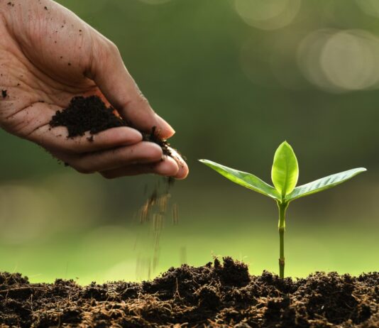 Insumos esenciales para profesionales del sector de la agricultura Insumos agrícolas para profesionales