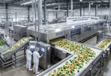 4 tendencias tecnológicas y sostenibles que están transformando la industria de los alimentos soluciones-IQF-para-produccion-a-gran-escala